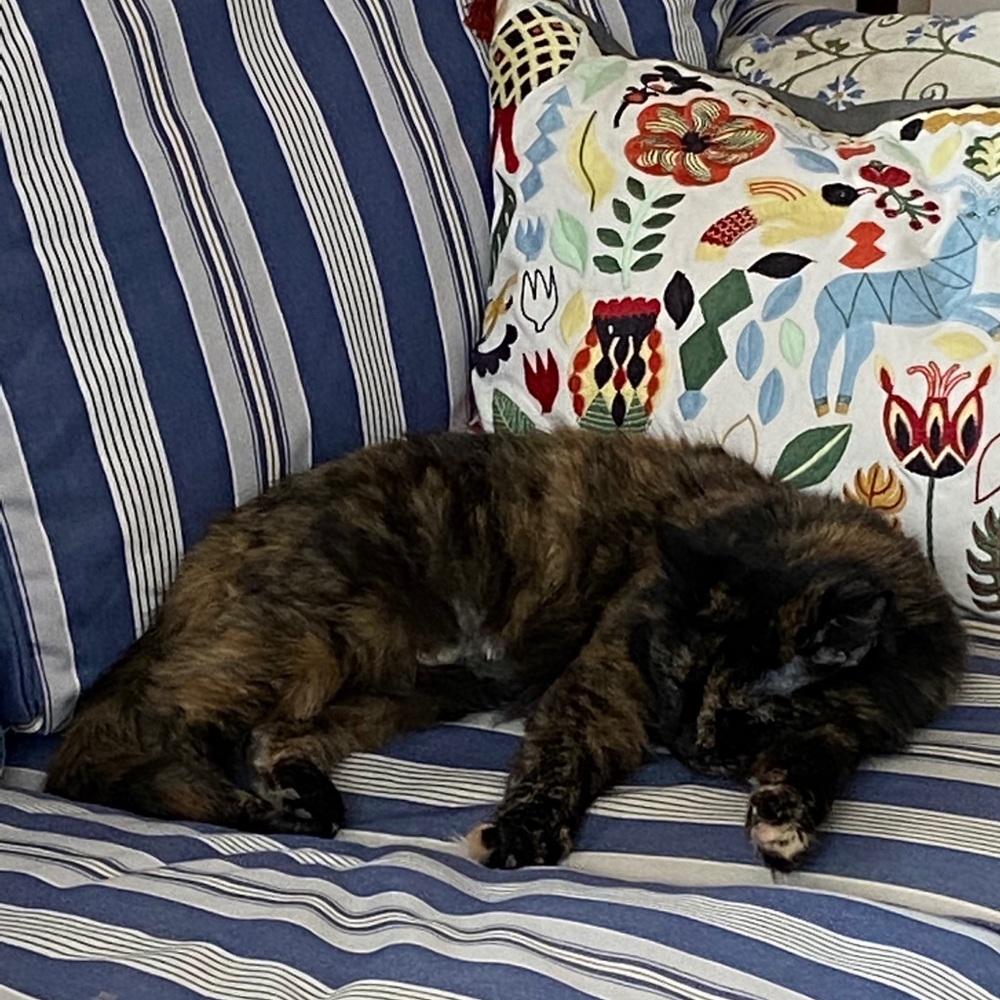 Meet Maude